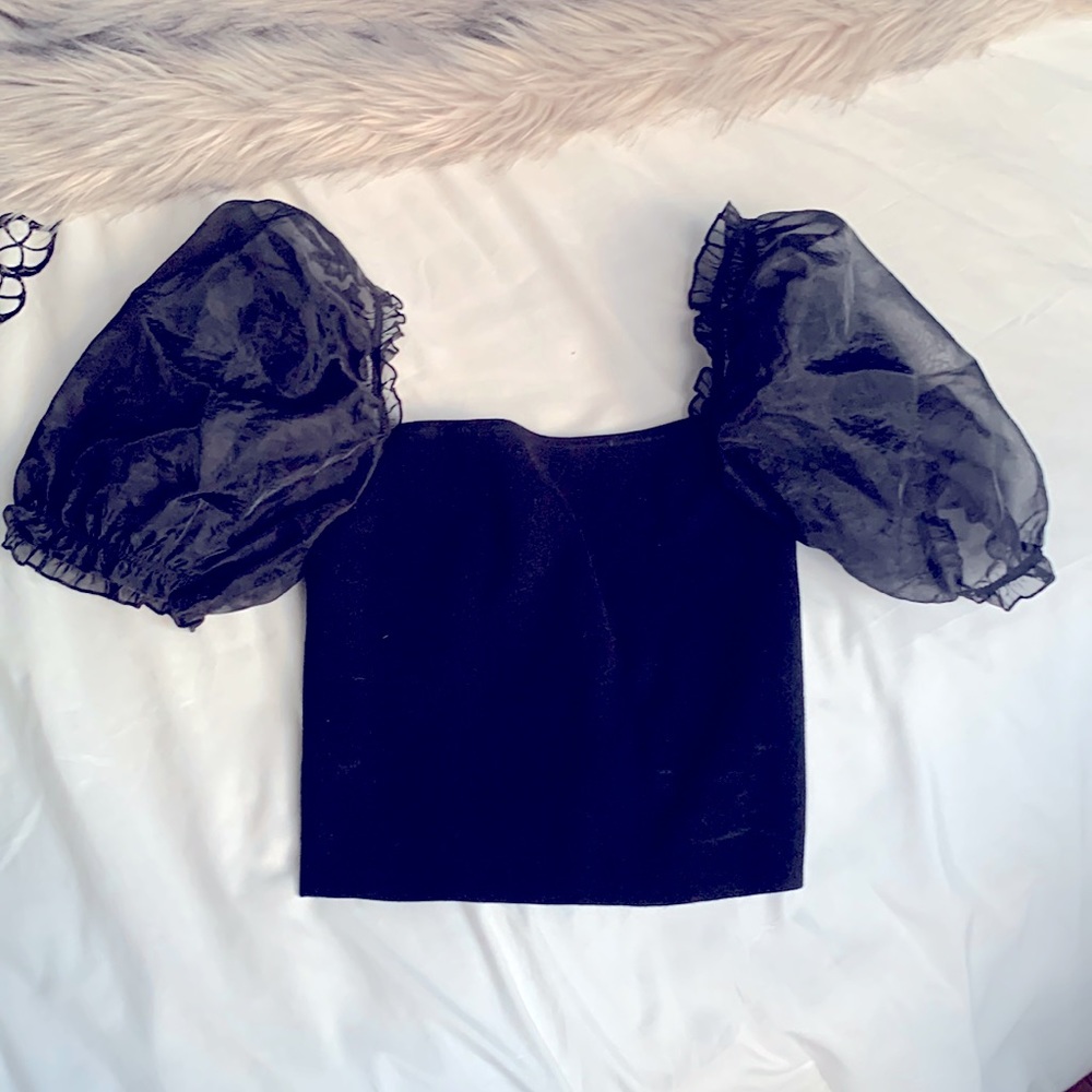 Aritzia Puffed Sleeve Cropped Top